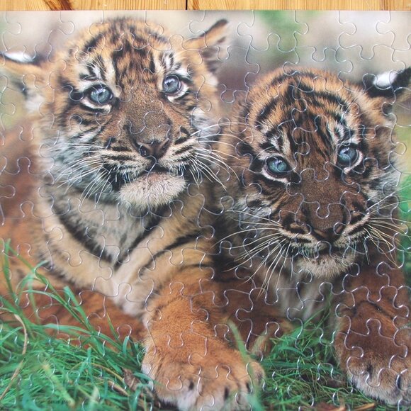 Hasbro Two Tiger Cubs 100 Piece Jigsaw Vintage COMPLETE (P38) - Picture 2 of 2